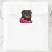 Sticker Carré Rose Valentin Rottweiler Puppy (Sac)