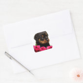 Sticker Carré Rose Valentin Rottweiler Puppy (Enveloppe)