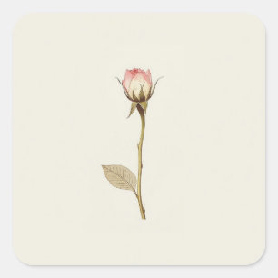 Sticker Carré Rosebud de Possibilités oeuvre d'art