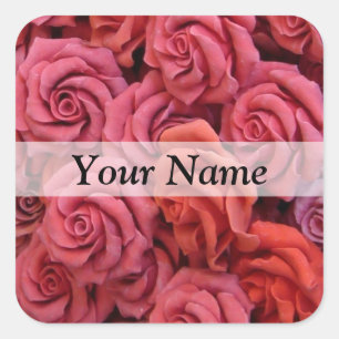 Sticker Carré Roses à fleurs roses