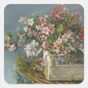 Sticker Carré Roses alpins dans une boîte à fenêtre - Andreas La
