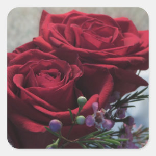 Sticker Carré Roses rouges 1a