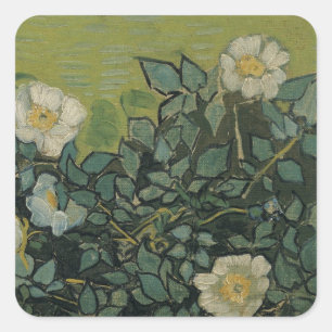 Sticker Carré Roses sauvages par Vincent van Gogh