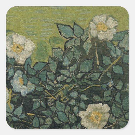 Sticker Carré Roses sauvages par Vincent van Gogh (Devant)