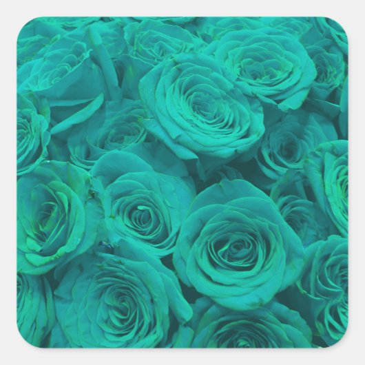 Sticker Carré roses turquoises (Devant)