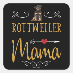 Sticker Carré Rottweiler