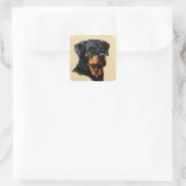 Sticker Carré Rottweiler (Sac)