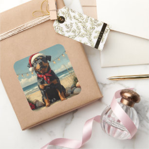 Sticker Carré Rotweiler Chien Noël Plage Vintage