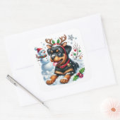 Sticker Carré Roulez la Rottie à nez rouge ! (Enveloppe)