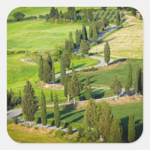 Sticker Carré Route sinueuse bordée de Cypress en Toscane autoco