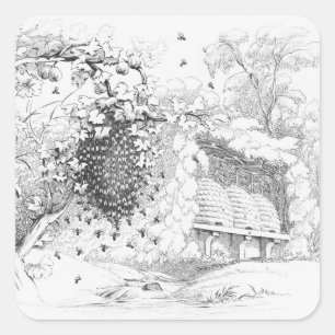 Sticker Carré ruches d'abeilles vintages
