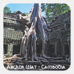 Sticker Carré Ruine de Ta Prohm - Angkor Vat, Cambodge, Asie