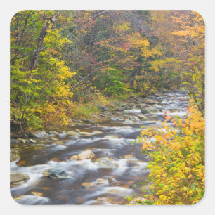 Sticker Carré Ruisseau rugissant en automne dans le Green 2 du V