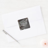 Sticker Carré Russe Blue Grey Chat Love (Enveloppe)