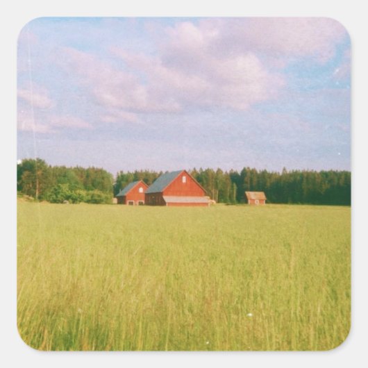 Sticker Carré Rustic summer field, Helsingia, Sweden (Devant)