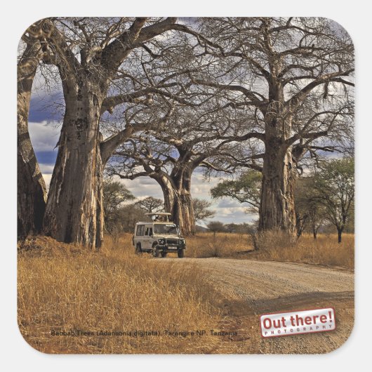 Sticker Carré Safari (Devant)