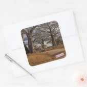 Sticker Carré Safari (Enveloppe)