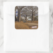 Sticker Carré Safari (Sac)