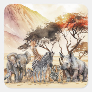 Sticker Carré Safari Animaux Enveloppe Invitation Phoques