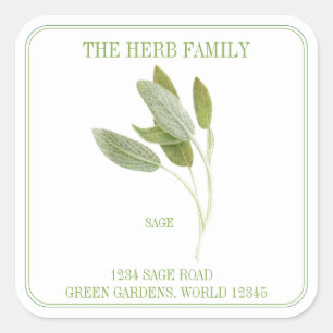 Sticker Carré SAGE FRAIS Gros Carré Adresse Enveloppe Phoques