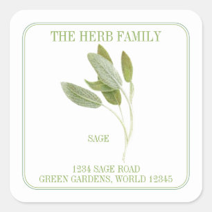 Sticker Carré SAGE FRAIS Petits Carrés Enveloppe Phoques