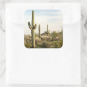 Sticker Carré Saguaro Cactus, Arizona, USA (Sac)