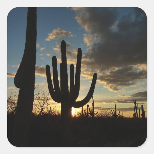 Sticker Carré Saguaro Sunset II Arizona (Devant)