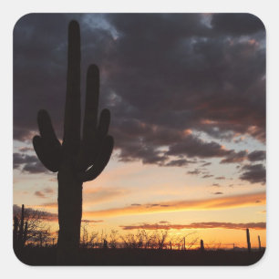 Sticker Carré Saguaro Sunset III Arizona Desert Paysage