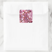 Sticker Carré Sakura Cherry Blossoms embrassés par Sunlight (Sac)