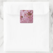 Sticker Carré Sakura Cherry Blossoms rose pâle Réflexions (Sac)