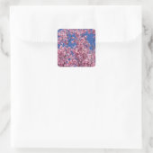 Sticker Carré Sakura Cherry Fleurit Dans Le Bleu (Sac)