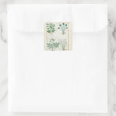 Sticker Carré Salt Bush et Anthora Absinthium et Cardamom (Sac)
