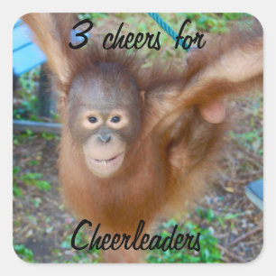 Sticker Carré Salutations pour Cheerleaders