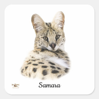 Sticker Carré Samara douce