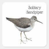 Sticker Carré Sandpiper solitaire (Devant)