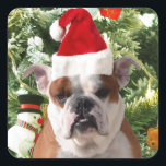 Sticker Carré Santa Hat Bulldog Christmas Tree Snowman boîte cad<br><div class="desc">Mignonne photo Bulldog avec boîte cadeau de Noël Tree Snowman en arrière - plan. Un cadeau parfait pour Noël !</div>