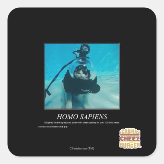 Sticker Carré Sapiens Homos (Devant)