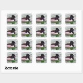 Sticker Carré Sarcelle à collier (Feuille)