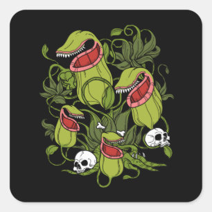 Sticker Carré Sarracenia Plantes carnivores