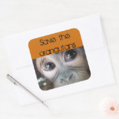 Sticker Carré Sauver les Orangutans (Enveloppe)