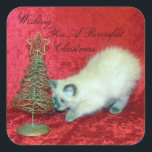 Sticker Carré Savannah's Playful Christmas - Kitten / Chat<br><div class="desc">Tant d'utilisations pour les autocollants ! Les enfants adorent jouer avec eux ou les collecter. Je les utilise pour fermer mes cartes et décorer des enveloppes. Une idée que j'ai eu pour celle-ci - avec beaucoup de place en bas à droite - personnalisez pour ajouter votre signature - ou tout...</div>