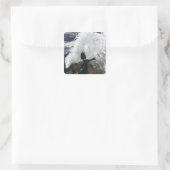 Sticker Carré scandinave (Sac)