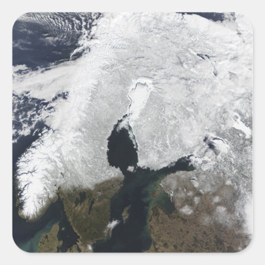 Sticker Carré scandinave (Devant)