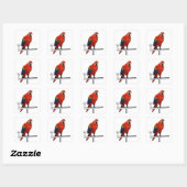 Sticker Carré Scarlet Macaw (Feuille)