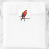Sticker Carré Scarlet Macaw (Sac)