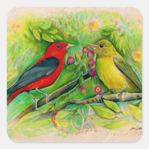 Sticker Carré Scarlet Tanagers Bird Art