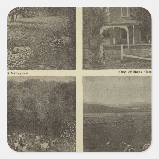 Sticker Carré Scènes dans l'Empire terrestre (Devant)