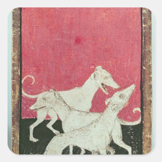 Sticker Carré Scènes de faucons (Devant)