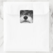 Sticker Carré Schnauzer miniature noir et blanc (Sac)