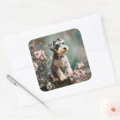 Sticker Carré Schnauzer Puppy Among Spring Cherry Blossoms (Enveloppe)